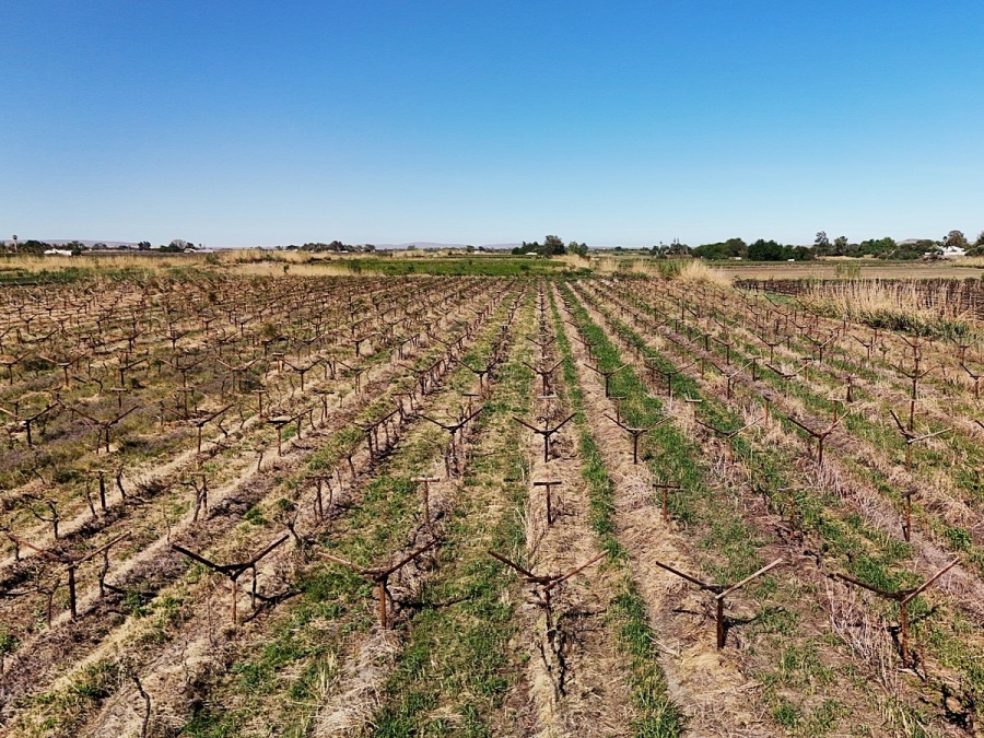 Commercial Property for Sale in Keimoes Rural Northern Cape